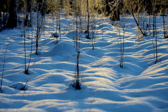 Suomen Sää Helmikuussa Tilastojen Mukaan - Forecan Sääpedia - Foreca.fi